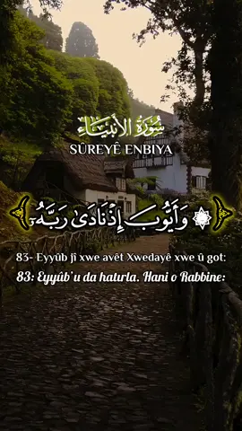 #enbiyasuresi  #عبدالبسط_عبدالصمد  #قران_كريم  #kuranikerimdinle  #quran_sozu 