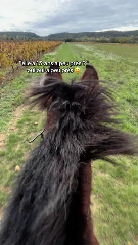 13 ans c’est un peu pareil que 21😅#fyp #pourtoii #equestrian 