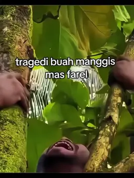 buah manggiz mas Farrel 😭😭#fyp #mobilelegends #mlbb  #anomaly #CapCut 