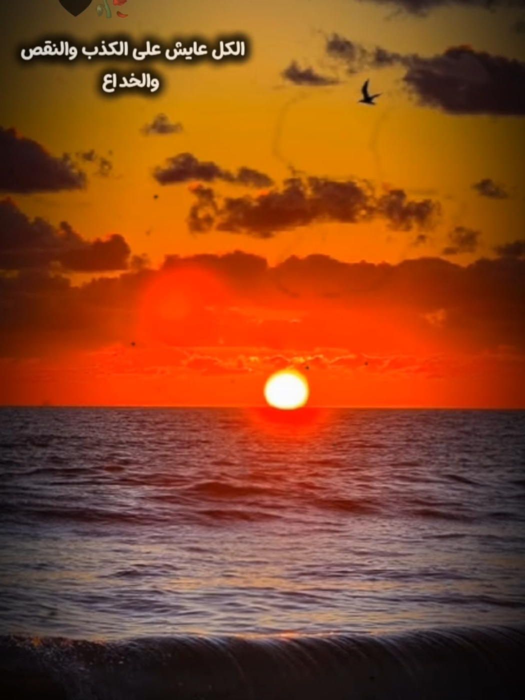 حط صورتك علي القالب وادعيلي💥🤍 #قالب_جاهز_نار🔥 #محمد_البصيلي #قوالب_كاب_كات #اغاني_حزينه #fyppppppppppppppppppppppp 