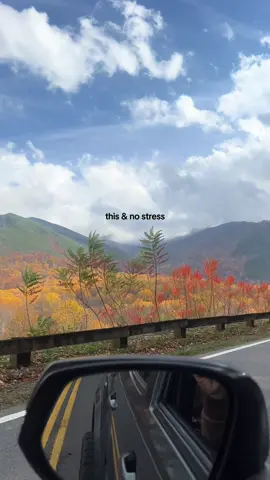 Smoky Mountains Views 😍😍#smokymountains #beautiful #views 