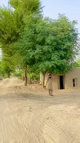 So Beautifu Village #villagelife 