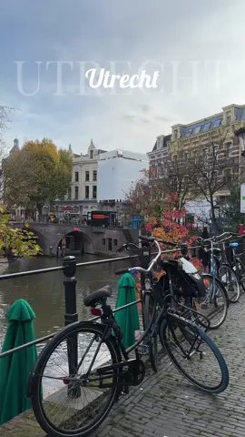One day in Utrecht 🍂 #utrecht #netherland #netherlandstravel #fall2025 