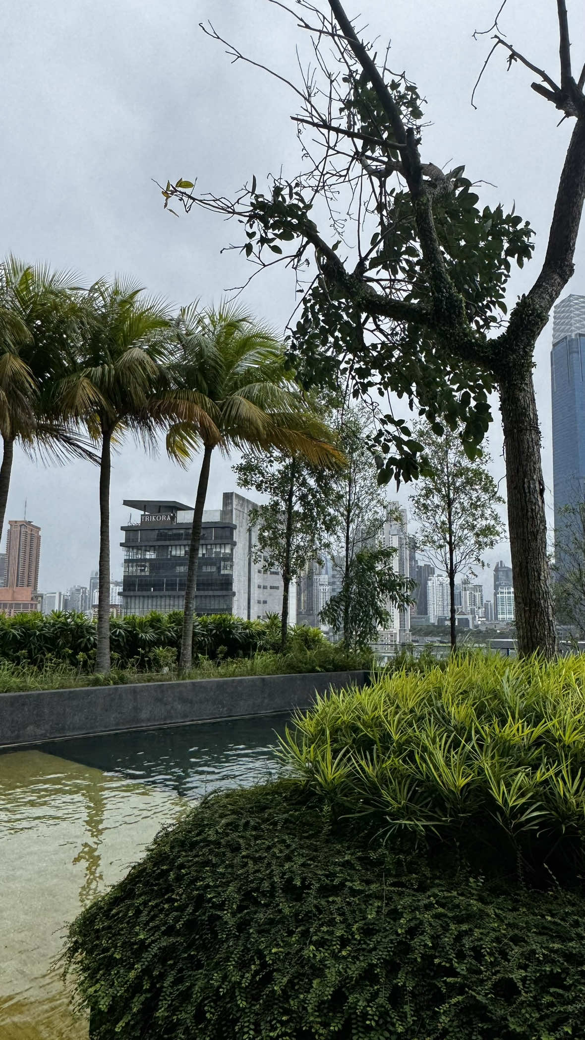 86e étage des tours Petronas, KL #petronas #kualalumpur #toilette 