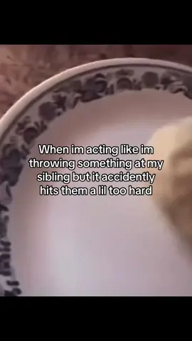 #realatable #fyp #sibling #throw 