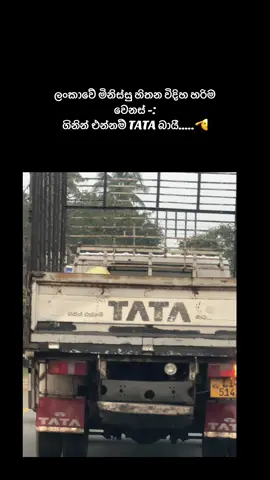 😌#srilankan_tik_tok🇱🇰 #funnyvideos #viralvideo🔥 #trending @𝗖𝗛𝗶𝗥𝗮𝗮𝗮🐾 @Dulmini Millawana @Rusandi Senevirathna @Chathu weerakoon🫶🏻 @Minoo 🐉 @~Nesandu Fernando~ @E<3 