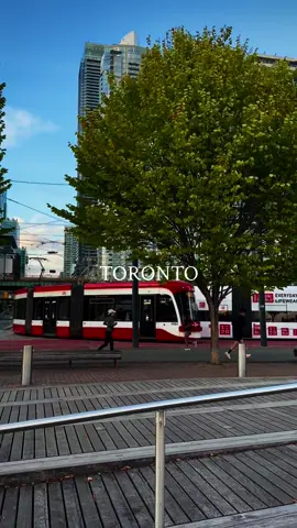 Toronto is a vibe.😍🍁✨🇨🇦 . . . . #fypviral #toronto #thisiscanada #travelphotography #exploringtoronto 