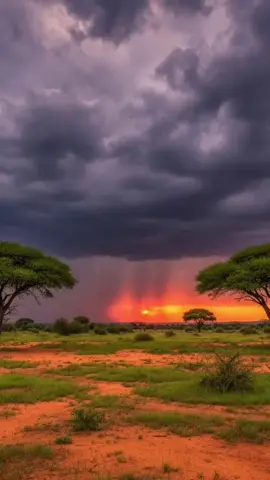 #somali #calture #foryoupage 