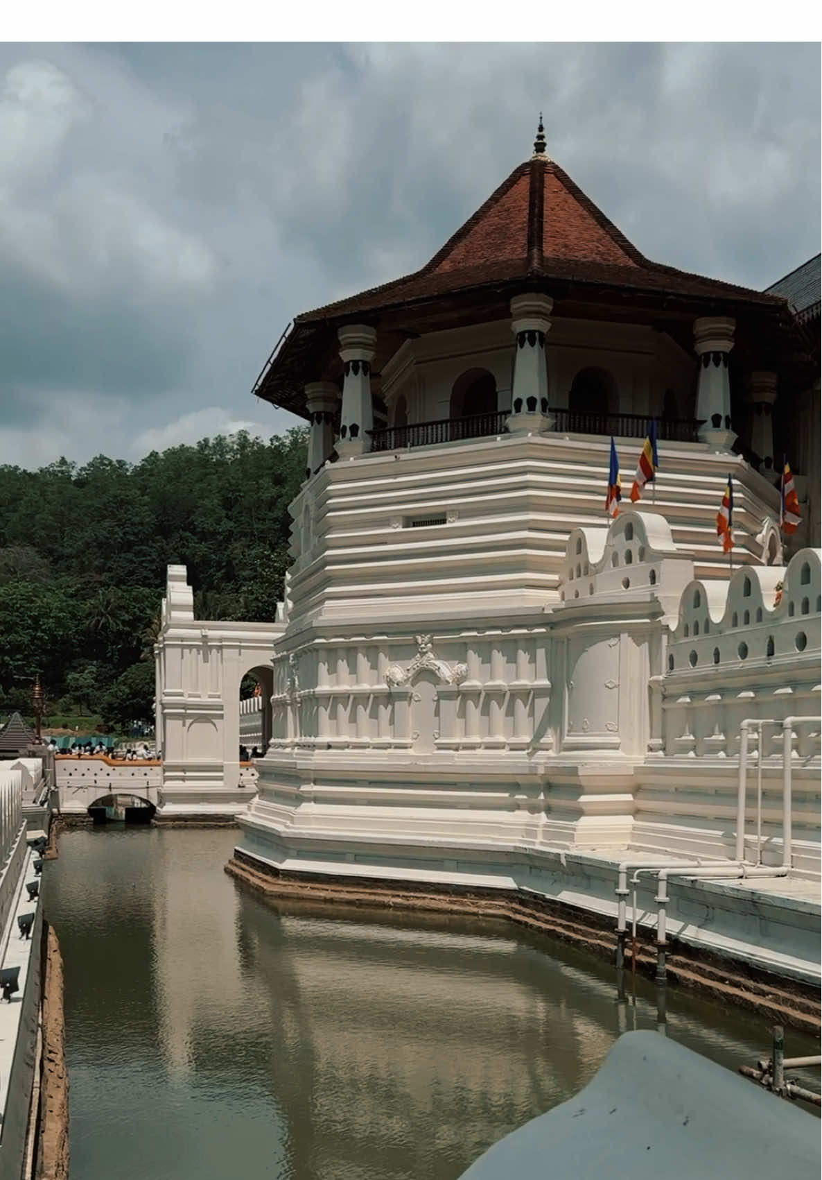 SRI DHLADHA MALIGAWA #dhaladhamaligawa  #kandy  #foryou #viral 