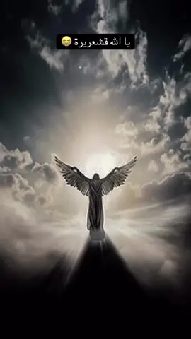 #القران_الكريم_راحه_نفسية😍🕋 #القران 