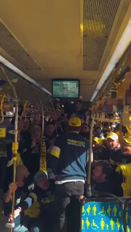 Bahis reklamı! #fenerbahçe #keşfet #fenerbahcetribünühayattır 