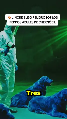 💥 ¿INCREÍBLE O PELIGROSO? LOS PERROS AZULES DE CHERNÓBIL #chernobyl #noticia #ultimahora #breakingnews #parati 