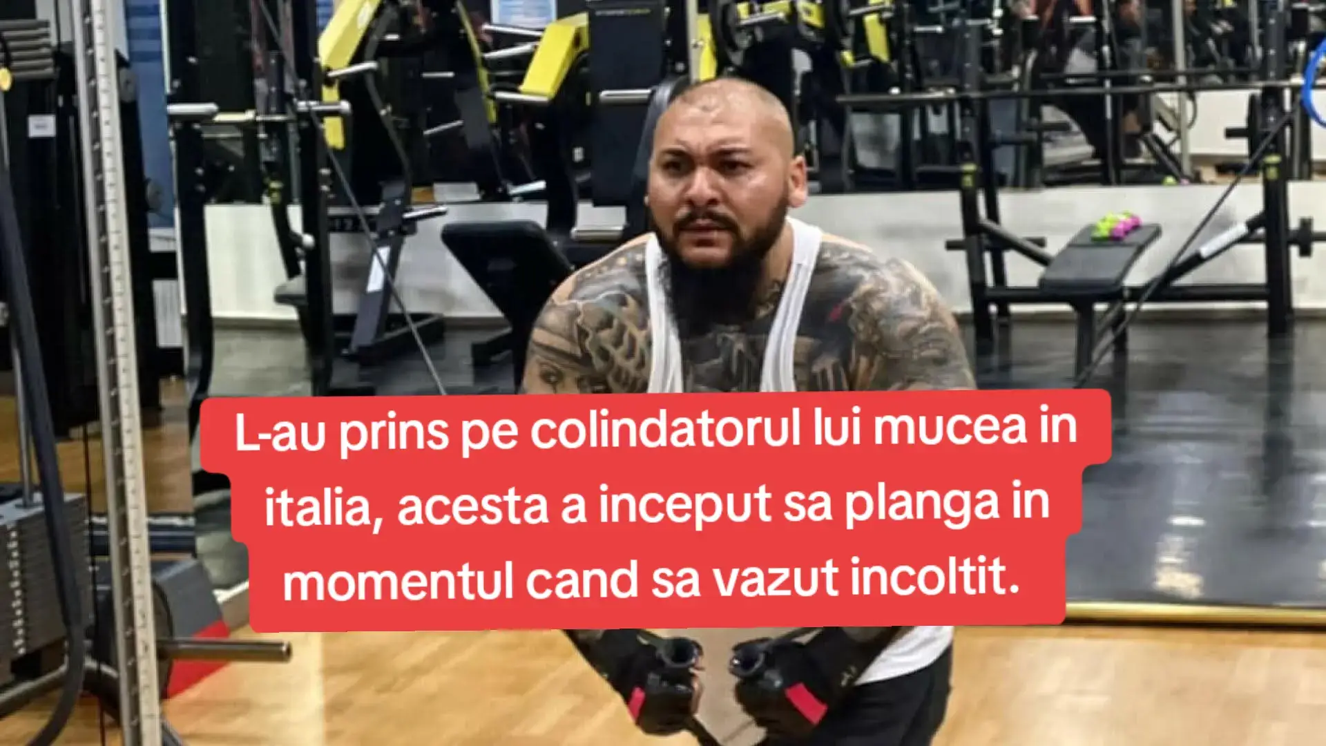 Colindatorul lui Mucea in campania electorala, a fost prins in italia, acesta a inceput sa planga in momentul cand a vazut politia!! La codamnarea de 4 ani Ii se vor adauga altele 3. Pt fuga!! 