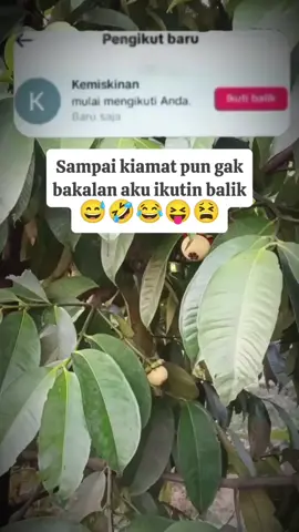 #Meme #MemeCut #CapCut 