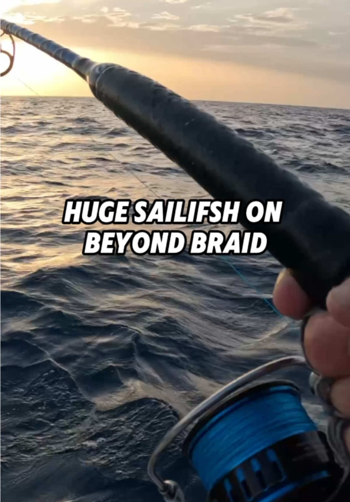 Big sailfish ripping drag 🤟 #fishing #fishingvideos #fishingviral #fishingtiktok #fishtok 