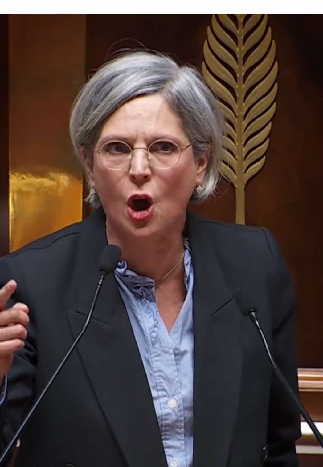 Avec leurs hurlements, leurs insultes et leurs vociférations, l’extrême-gauche et ses amis ne pourront faire croire à personne qu’ils luttent contre la haine. Ils ne sont que haine.