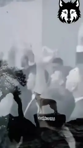 #anılar 🇹🇷🐺🤘🏾🥷