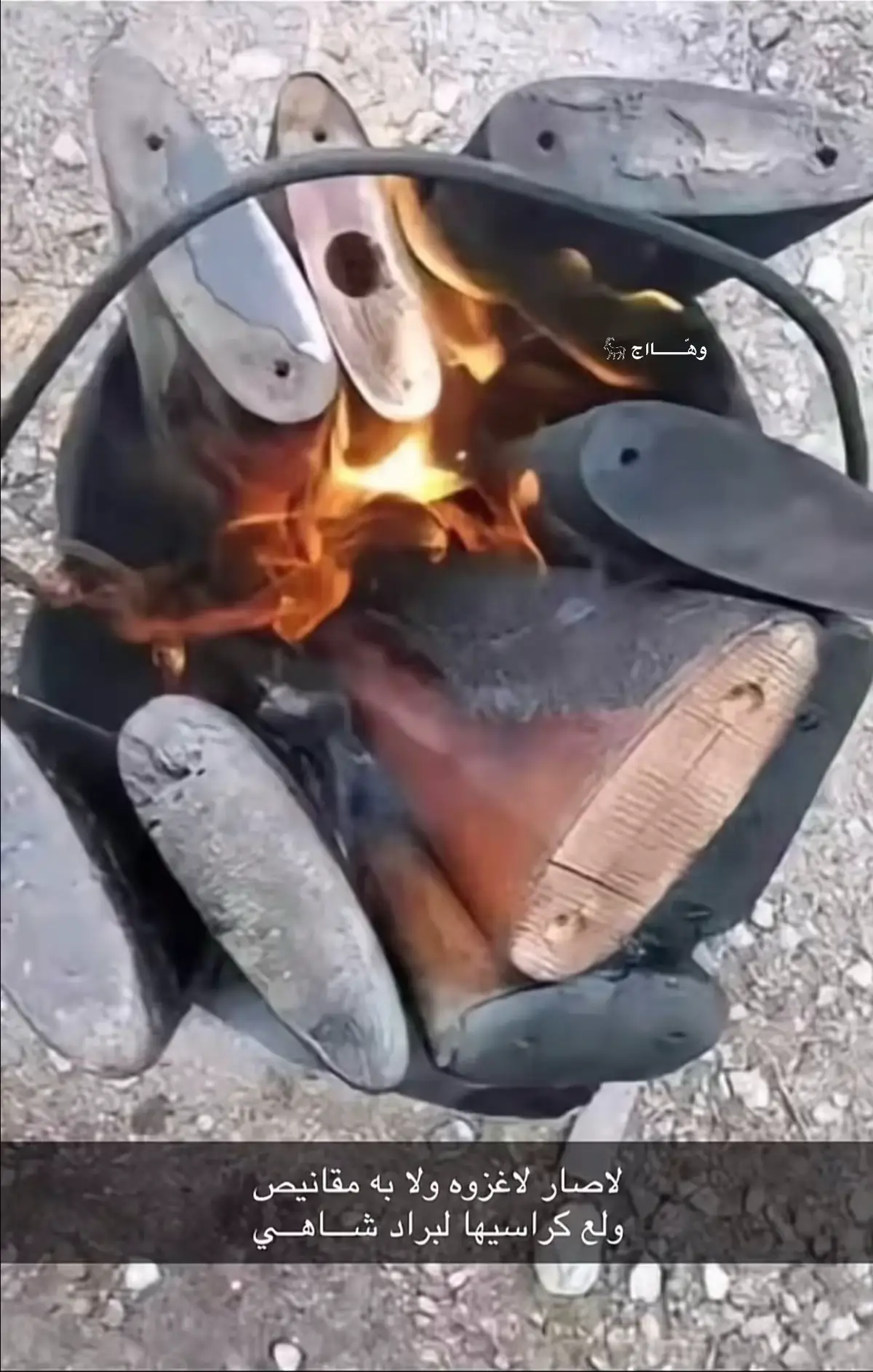 #اكسبلور #قصيده #قصيد #اكسبلورexplore 