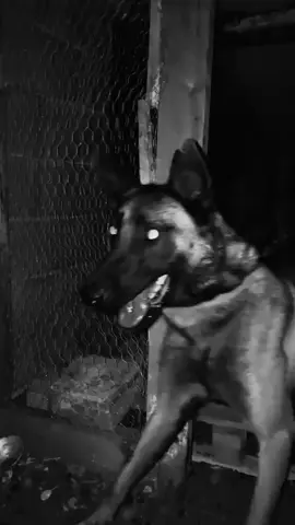 Şəxsi di Tutmasa siləcəm 🔥🍺) #keşfet #fıp 