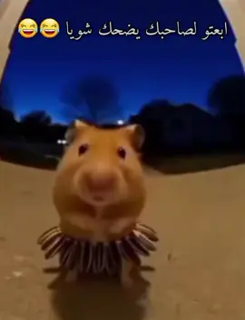 #فيديوهات_مضحكة #ميمز_جزائري #ضحك #fypviralシ゚ #ميمز_العرب 