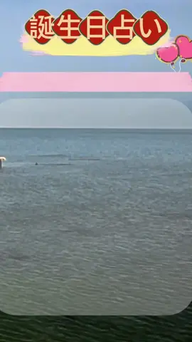 運勢はどうでしょうか？#占い #誕生日ランキング #運勢 #恋愛 #相性診断 