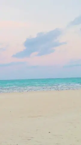 Deegaankaa jcleynow duceysan #cadale__shabelda__dhexe🌴 