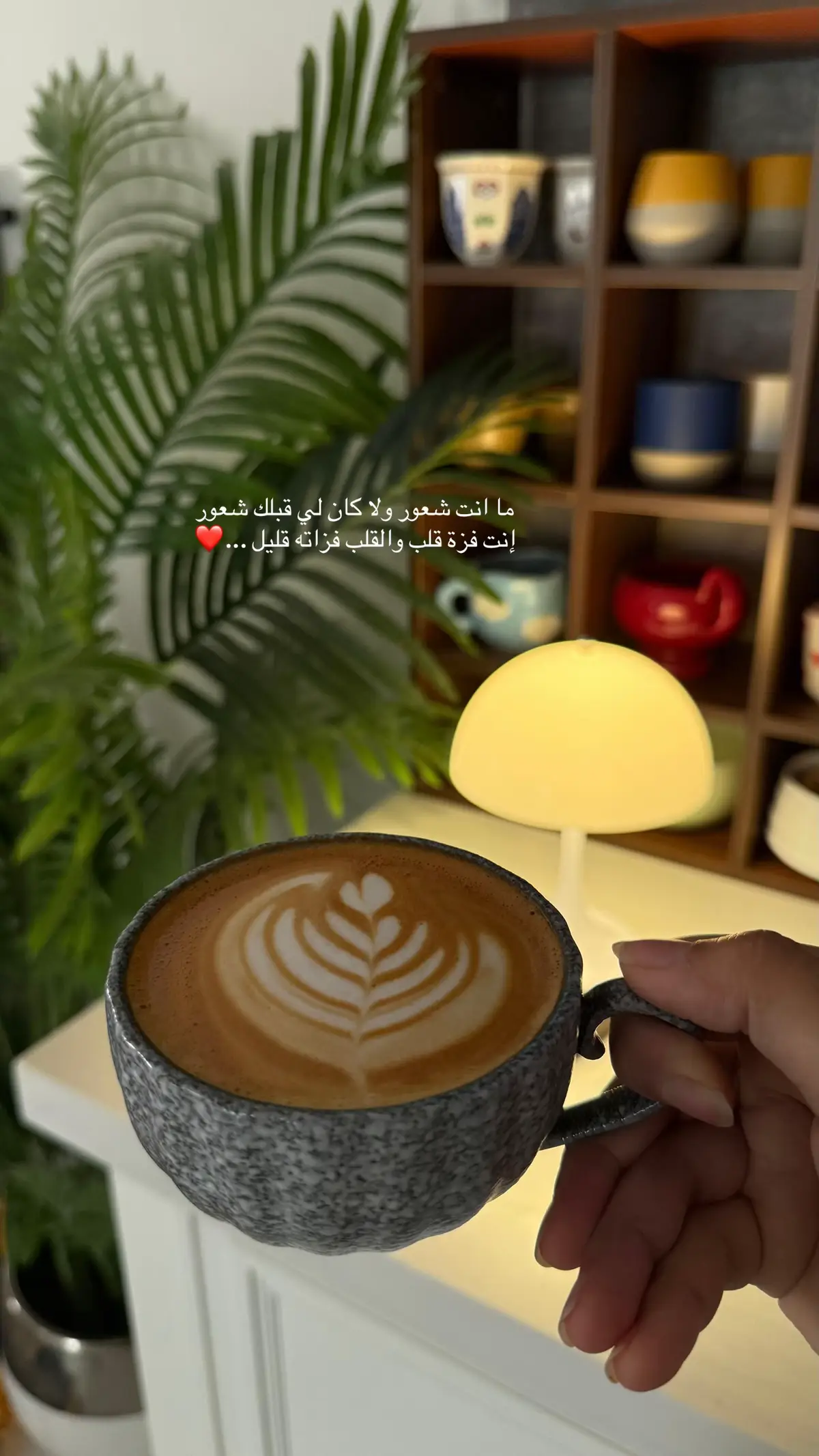 #خواطر #مساء_الخير🌹 