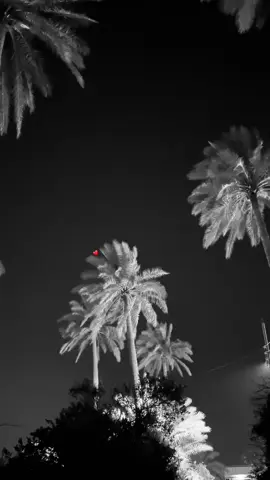 #4u #علي_رشم #تصوير_ليلي 