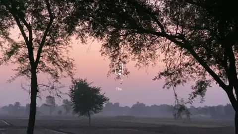 #quran #عبدالرحمن_مسعد 