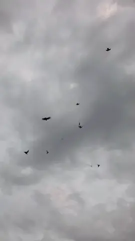 #حمام_لوت #تصميم_فيديوهات🎶🎤🎬 #للونسه_فقط😂😂 #شعب_الصيني_ماله_حل😂😂 #لايك_متابعه_اكسبلور 