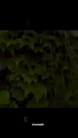 siempre con Dios #salmo23 #musicacristianatiktok #musicaparaelalma #dios  #palabradedioshoy 