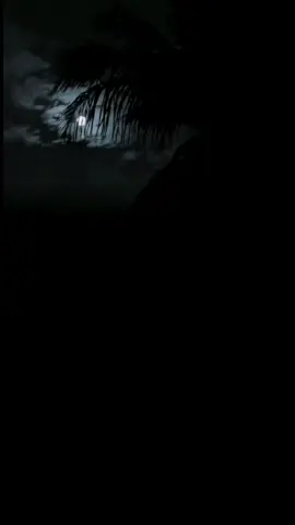 #ادعية #يارب#🤲 #قران_كريم #اللهم_صلي_على_نبينا_محمد 