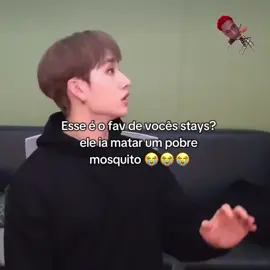 ANTES DE PENSAR EM MATAARR #straykidsmemes  #kpopfyp #creatorsearchinsight 