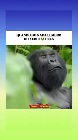 só lembranças 😂 #humor 