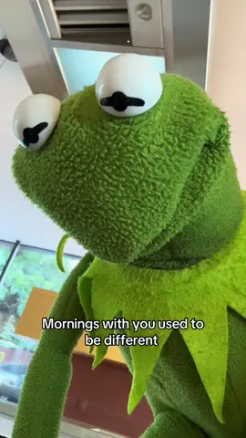 Mornings just aren’t the same 🥀 #iloveyou #misspiggy #kermit 