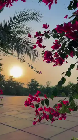 #كاظم_الساهر #لو #كاظم_الساهر_لولم_تكوني_انتي #رومنسيات #الصين_ماله_حل 