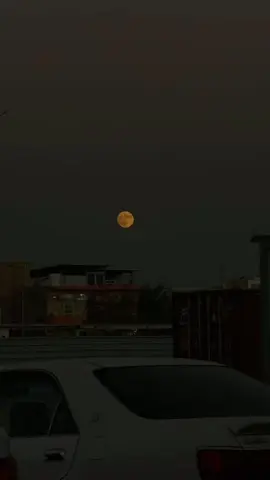 ليلي شلون؟🥹♥️#foryou #Love #like #tiktok #explore 