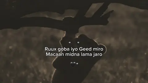 midna lama jarro. 🖤