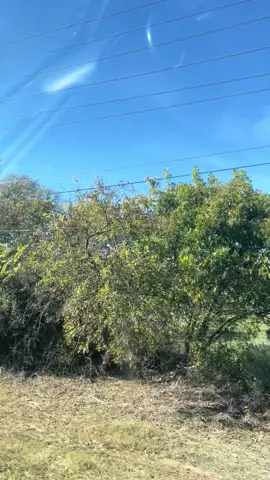 #🥀😌🥀 #🥰🦋🥰❤️‍ #🥰🦋🥰❤️‍ 