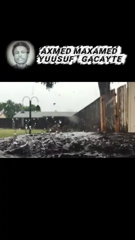 Maxaad ka xasuusata heesaha Axmed Gacayte laxameeyay. #mursalgadhka #somalitiktok12 #qaraami #song #views 