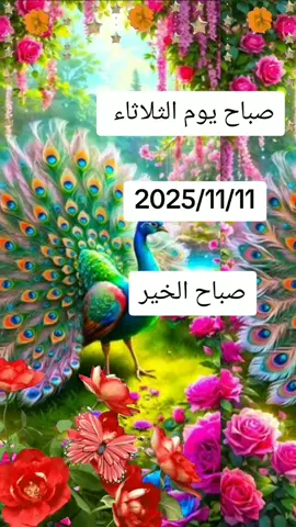 ##صباح##الخير##