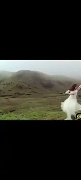 میں دیکھا سپنا 🇵🇰🇳🇵🇮🇳🇧🇩🥹🥹🥹🥹🥹🥹🥹🥹🥹🥹🥹🥹 #foryou #song #sureelyphool💯 #sad #virlvideo 