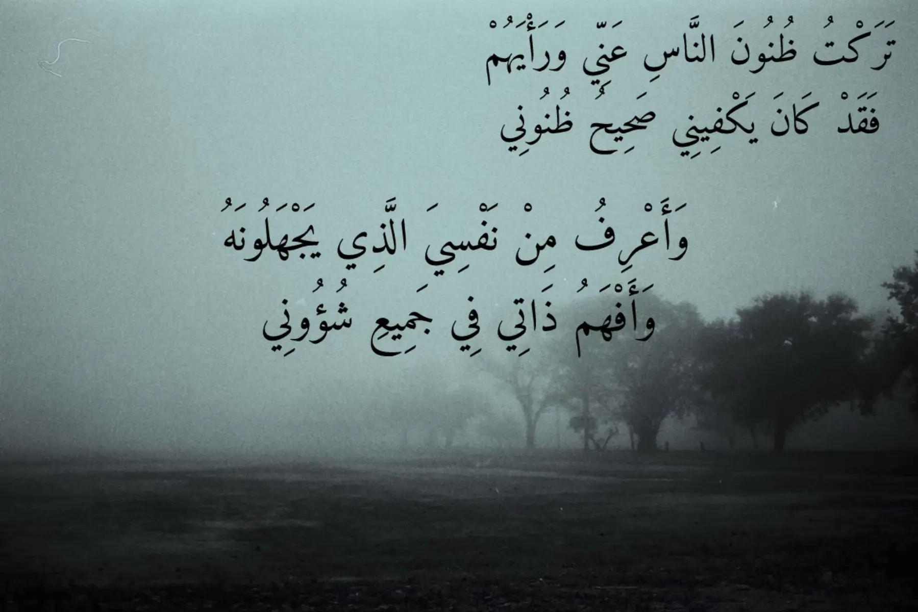 تَرَكْتُ ظُنُونَ النَّاسِ عَنِّي وَرَأْيَهُمْ فَقَدْ كَانَ يَكْفِينِي صَحِيحُ ظُنُونِي وَأَعْرِفُ مِنْ نَفْسِيَ الَّذِي يَجْهَلُونَهُ وَأَفْهَمُ ذَاتِي فِي جَمِيعِ شُؤُونِي   #viral #fppppppppppppppppppp #fyp #tiktok #greenscreen 