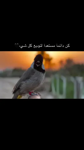 #😔💔🥀.   #a  #zyxcba  #How T Fake Tan Ur Face  #xuhuong 