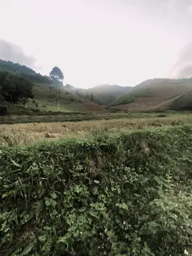 “如果今天失败了，明天我们会再试一次。输在游戏上，比输在人生上好. 