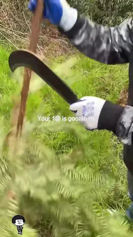 (1 minute) Amazing fruits 😱 #relaxing #asmrfood #asmr #watermelon #fyp 