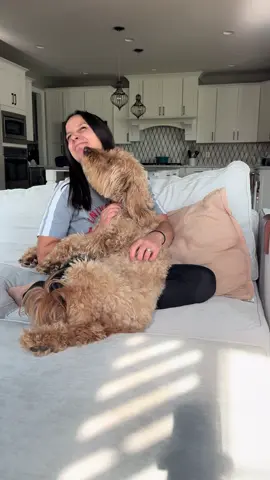 Who knew good dental care could be this easy?! Thanks @Furry Haha US ! #dogmom #dogdad #furryhaha #dogdentalcare 