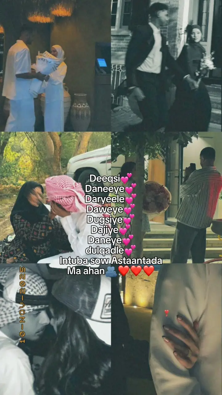 #lilies #flower #idooy💘😭💋 #💘💘💘💘💘💘💘💘💘💘 