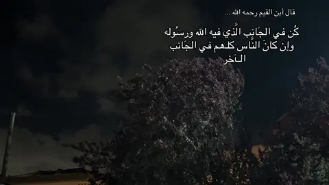 قديم الفيديو 🍃🫶🏼