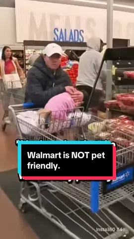 🚨Walmart is NOT Pet Friendly, Here’s Why🚨 * Back in April, I posted a video from my body camera showing a pet inside Walmart, which is not a pet-friendly store. I didn’t initially see the dog because the owner had stepped away from the cart, but now that the video has gone viral, I’m answering the three most common questions I keep getting.👇 * 1️⃣ “If you didn’t see the dog, how’d you grab your phone so fast?” I didn’t. I use a body camera for legal protection. My service dogs have been attacked multiple times in public by pets that shouldn’t be there. Recording helps keep both my dog and me safe and provides evidence when things go wrong. * 2️⃣ “Some Walmarts are pet friendly.” No, they’re not. No Walmart is pet friendly because they sell food and must comply with FDA Health Code 6-501.115, which states live animals are not allowed in food establishments unless they are service animals. * 3️⃣ “How do you know that wasn’t a service dog?” Because of the behavior of both the dog and the owner. • The dog was in a cart, which violates both Walmart policy and FDA codes. Walmart’s policy clearly states: “Service animals are not permitted in shopping carts or on the conveyor belts.” • The owner ran back to the cart and covered the dog’s head, which is a red flag that the dog might have reacted poorly. • Legitimate service dog handlers don’t hide their dogs, and trained service dogs don’t ride in carts in grocery stores. • Also, in New Jersey, distracting or interfering with a service animal is a crime under N.J.S.A. 2C:29-3.2. * Bringing your pet into a grocery store is not just against the rules, it’s unsafe and unsanitary. It puts service dogs and their handlers at risk and violates health codes meant to protect everyone. * Please stop bringing your pets into Walmart. Let’s #RollbackTheFakes and protect both public health and disability rights. * * @pluto_theservicedog  * * We do not, have not and never will condone any threats or harassment towards individuals featured within this post.  * #walmart #viral #servicedogs #servicedog           